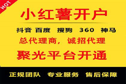 视频内容创作中的信息流大师应用案例